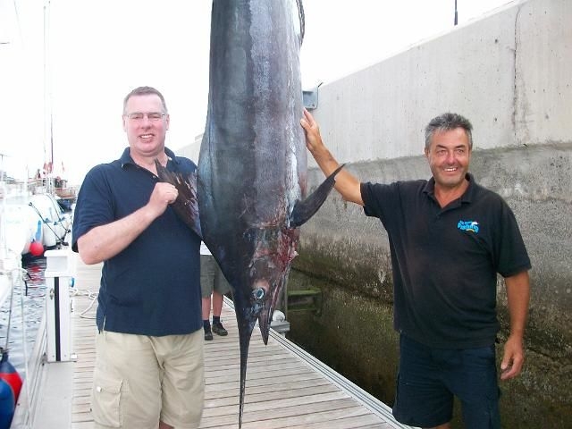 Blue Marlin